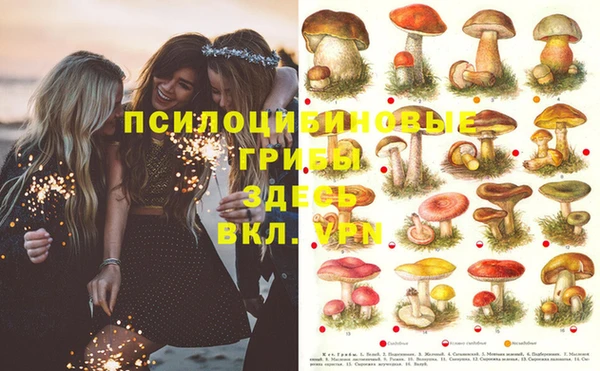 альфа пвп Бронницы